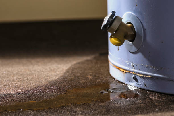 Best Water damage restoration near me  in Cramerton, NC