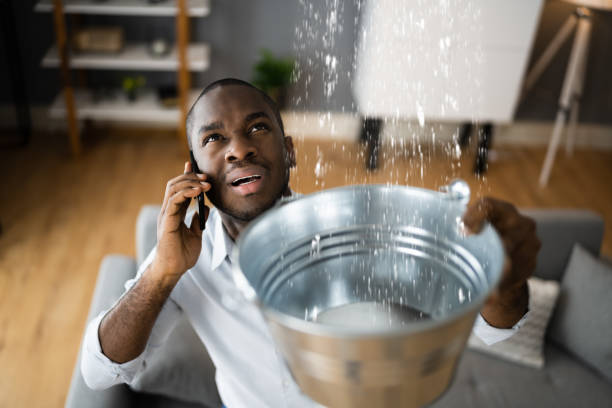 Best Water damage restoration near me  in Cramerton, NC