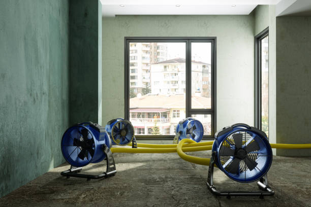 Best Sewage cleanup and water damage restoration  in Cramerton, NC